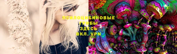 MDMA Белокуриха