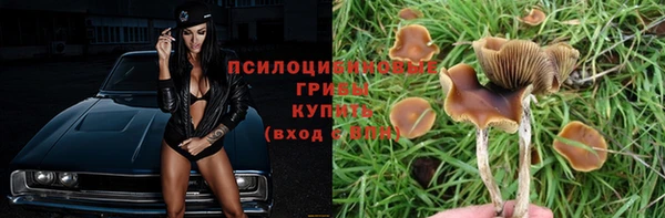 трава Баксан