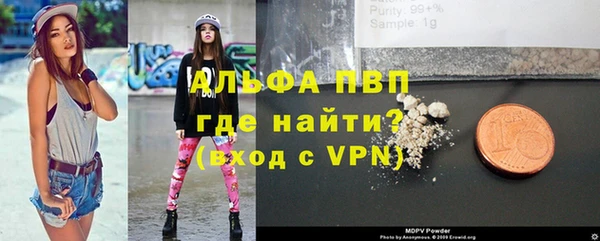 стаф Гвардейск