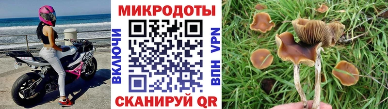 наркота  нарко площадка состав  Псилоцибиновые грибы Psilocybe  Верхотурье 